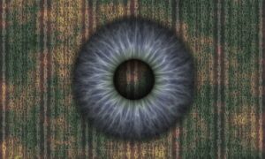 Kampf gegen Internetzensur